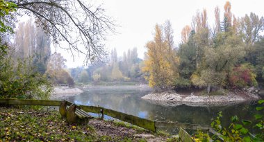 Sonbahar, puslu sabah parkta etrafında ağaçlar büyümek bir su birikintisi. Taşlı shore.
