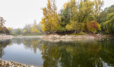 Sonbahar, puslu sabah parkta etrafında ağaçlar büyümek bir su birikintisi. Taşlı shore.
