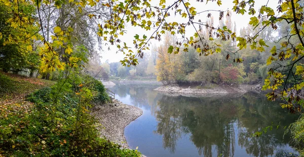 Herbst Nebliger Morgen Park Ein Teich Den Herum Die Bäume — Stockfoto