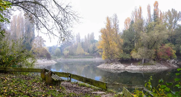 Sonbahar, puslu sabah parkta etrafında ağaçlar büyümek bir su birikintisi. Taşlı shore.