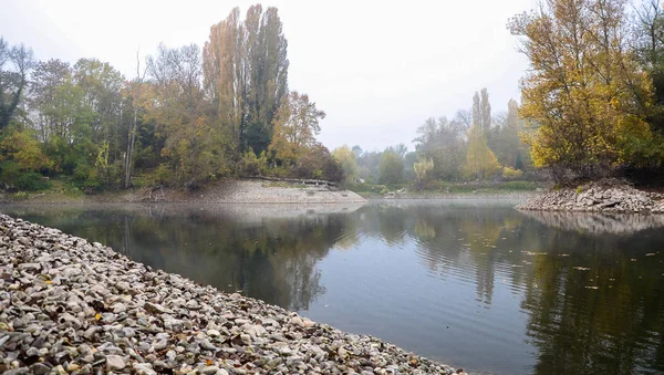 Sonbahar, puslu sabah parkta etrafında ağaçlar büyümek bir su birikintisi. Taşlı shore.
