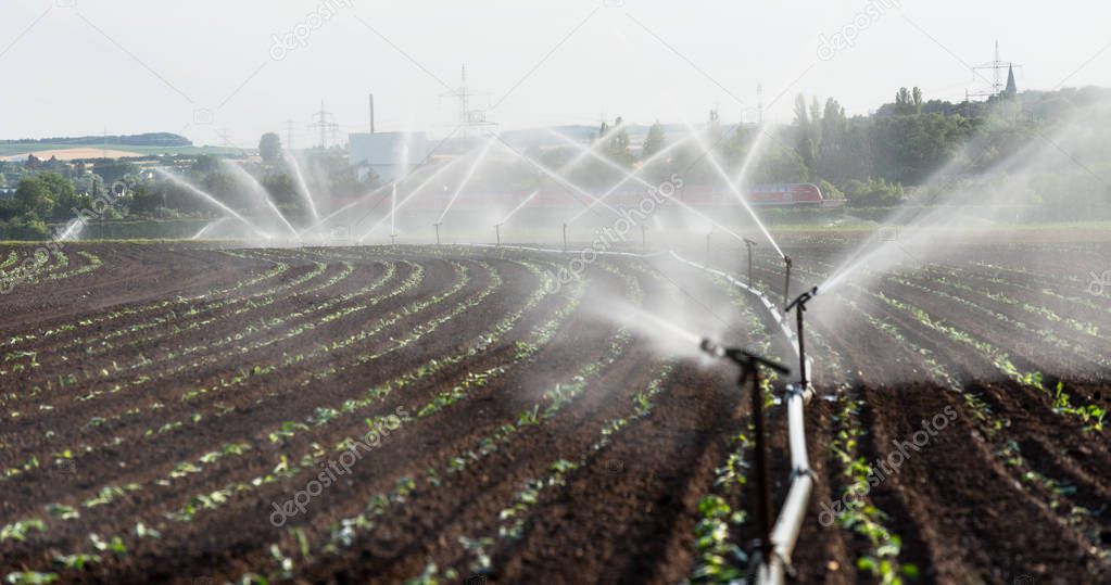 Watering crops in western Germany with Irrigation system using sprinklers in a cultivated field.