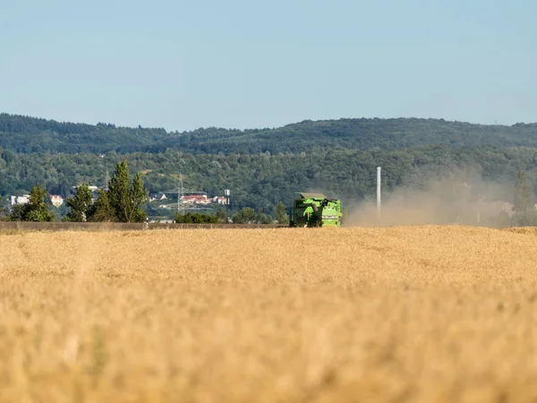 During the harvest, the combine mows the ripe wheat in the field.