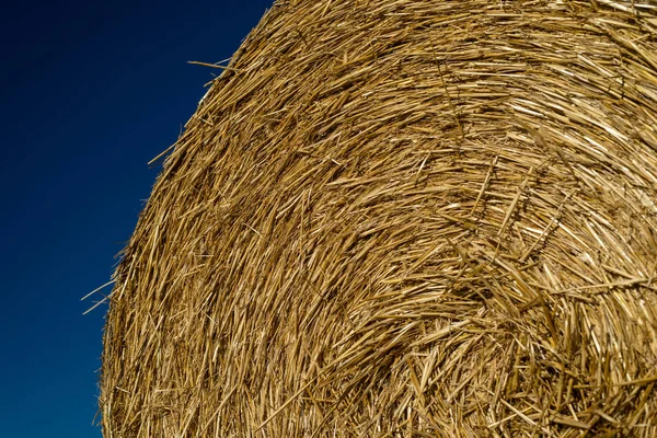 Bales Straw Lying Plowed Field Background Beautiful Blue Sky — Stock Photo, Image