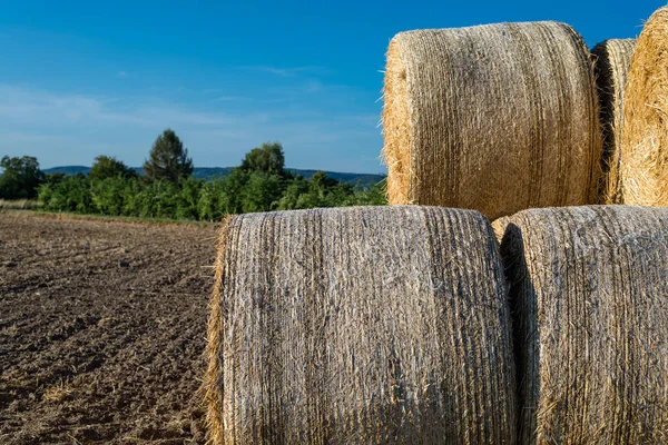 Fardos Redondos Palha Deitada Campo Arado Fundo Belo Céu Azul — Fotografia de Stock