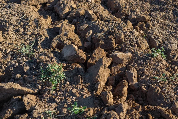 Nahaufnahme Eines Gepflügten Feldes Westdeutschland Einem Sonnigen Sommertag — Stockfoto