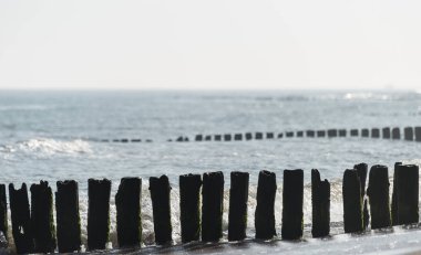 Bir yaz sabahı kaba dalgalar ile Baltık Denizi'ndeki ahşap dalgakıranlar.