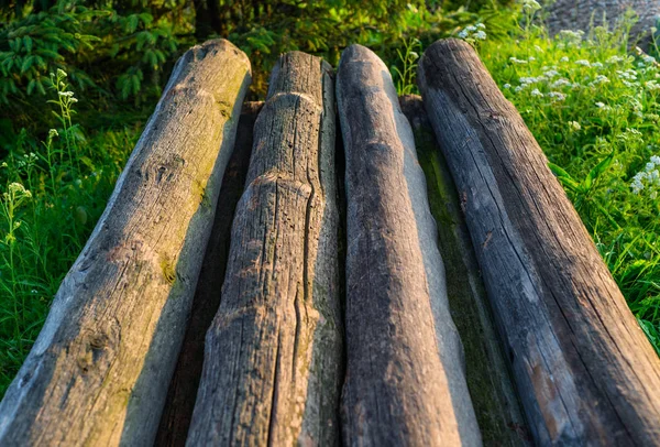 Une Pile Troncs Arbres Coupés Couchés Côte Côte Avec Des — Photo