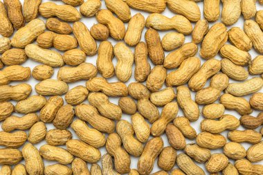 Bir arka plan üzerinde beyaz bir arka plan izole kabuk içinde fıstık.