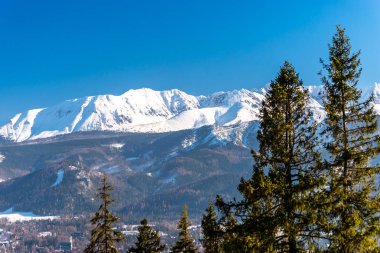 Polonya Tatra Dağları'nın eteklerinde yalan Zakopane şehir güzel bir manzara. Güneşli, güzel bir gün kış, karla kaplı dağlar görünür ağaçlar ve Binalar.