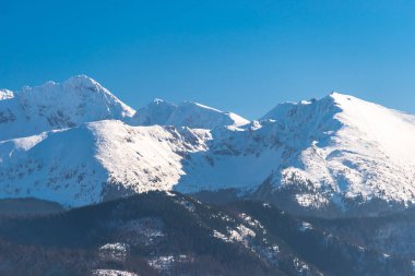 Polonya Tatra Dağları'nın güzel bir manzara. Kış, karla kaplı dağlar ve mavi gökyüzü güneşli, güzel bir gün.