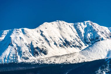 Polonya Tatra Dağları'nın güzel bir manzara. Kış, karla kaplı dağlar ve mavi gökyüzü güneşli, güzel bir gün.