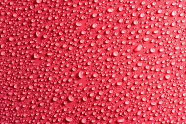 Hassas bir ışıkla aydınlatılmış bir pembe, mat zemin üzerine su damlaları.