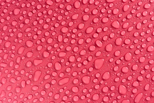 Σταγόνες Νερού Ένα Ροζ Ματ Φόντο Που Φωτίζεται Ένα Ευαίσθητο — Φωτογραφία Αρχείου