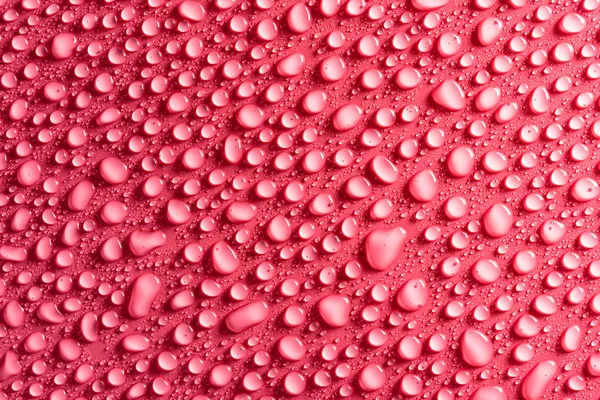 Gotas Agua Sobre Fondo Rosa Mate Iluminado Con Una Delicada —  Fotos de Stock