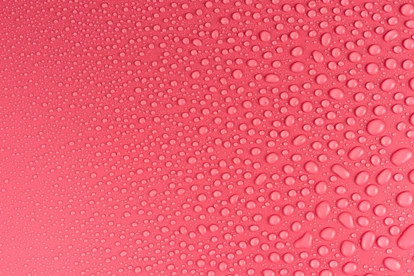 Вода Падає Рожевий Матовий Фон Освітлений Ніжним Світлом — стокове фото