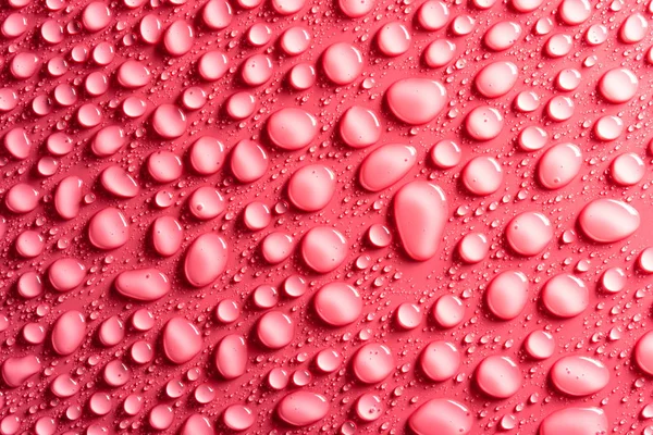Gotas Agua Sobre Fondo Rosa Mate Iluminado Con Una Delicada —  Fotos de Stock
