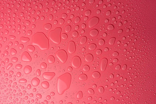 Вода Падає Рожевий Матовий Фон Освітлений Ніжним Світлом — стокове фото