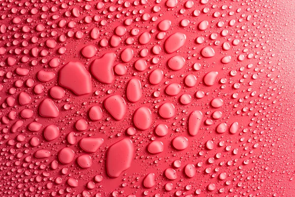 Gotas Agua Sobre Fondo Rosa Mate Iluminado Con Una Delicada — Foto de Stock