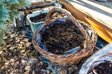Bir ev bahçe içinde bir hasır sepet ekili arazi.