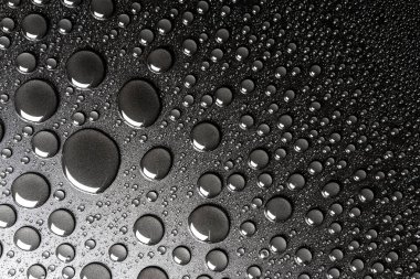 Hassas bir ışıkla aydınlatılmış siyah, mat bir arka plan üzerinde Su damlacıkları.