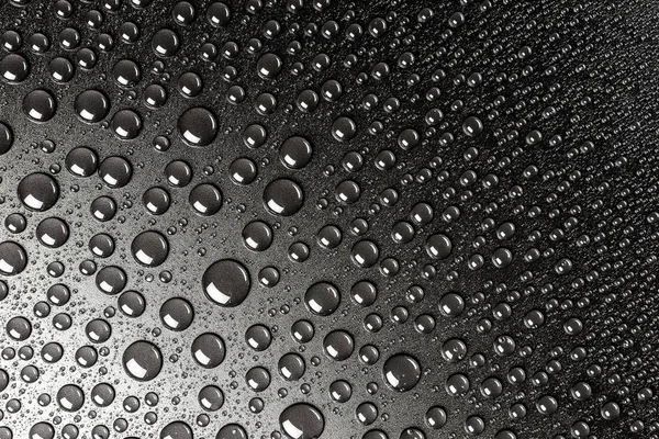Hassas bir ışıkla aydınlatılmış siyah, mat bir arka plan üzerinde Su damlacıkları.