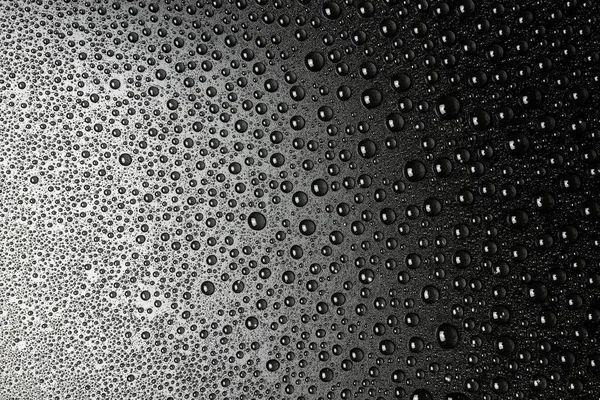 Droplets of water on a black, matte background illuminated with a delicate light.