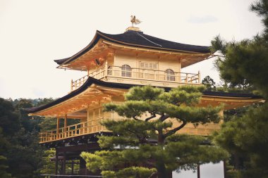 Kyoto, Japonya - 24 Temmuz 2016. Kinkaku-ji, Rokuon-ji kelimenin tam anlamıyla 