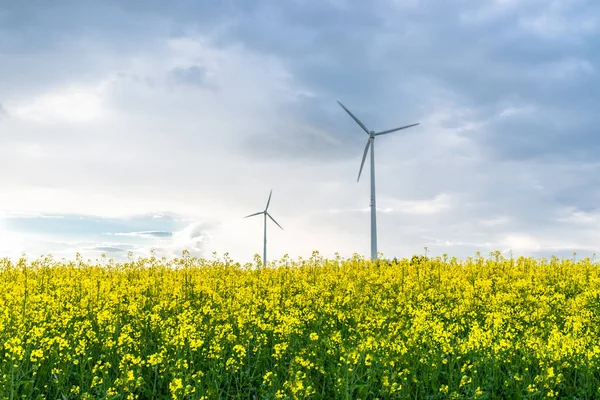 Two Windmills Standing Rape Field Cloudy Windy Day Western Germany — Stock Photo, Image