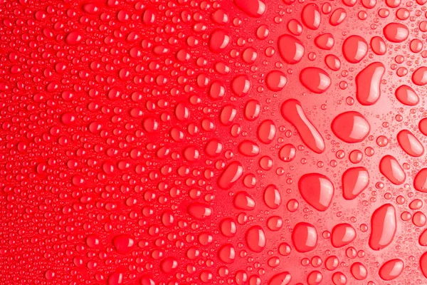 Droplets Water Red Matte Background Illuminated Delicate Light — Stock Photo, Image