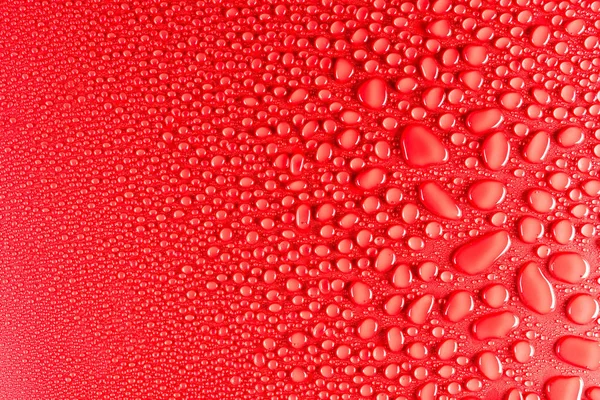 Краплі Води Червоному Матовому Фоні Освітлені Тонким Світлом — стокове фото