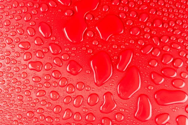 Gotitas Agua Sobre Fondo Rojo Mate Iluminadas Con Una Delicada —  Fotos de Stock
