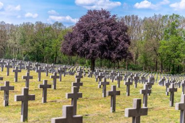 Hollanda'daki Alman savaş mezarlığında bir sürü küçük, beton haç.