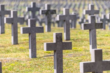 Hollanda'daki Alman savaş mezarlığında bir sürü küçük, beton haç.