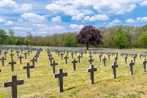 Hollanda'daki Alman savaş mezarlığında bir sürü küçük, beton haç.