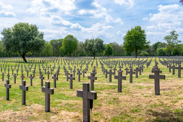 Hollanda'daki Alman savaş mezarlığında bir sürü küçük, beton haç.