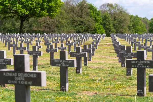 Ysselsteyn Netherlands May 2019 Lot Small Concrete Crosses German War — Stock Photo, Image