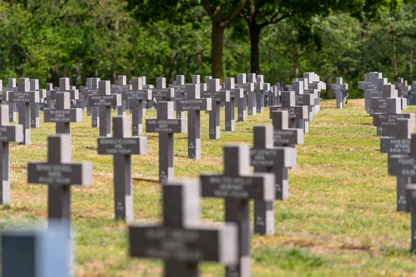 Ysselsteyn Netherlands May 2019 Lot Small Concrete Crosses German War — Stock Photo, Image