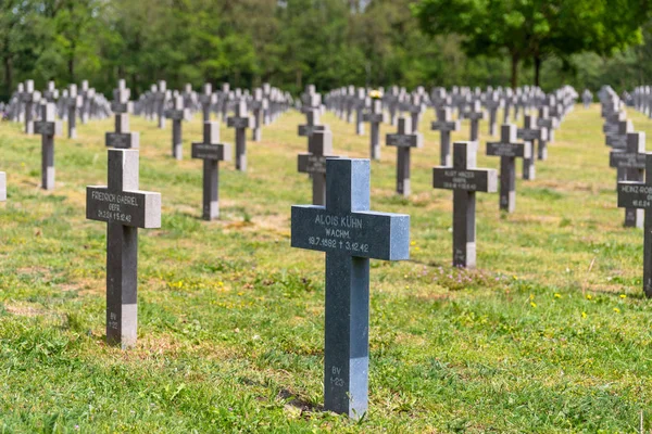 Ysselsteyn Netherlands May 2019 Lot Small Concrete Crosses German War — Stock Photo, Image