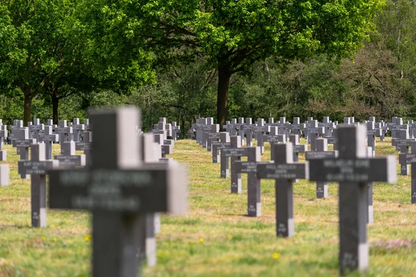 Ysselsteyn Netherlands May 2019 Lot Small Concrete Crosses German War — Stock Photo, Image