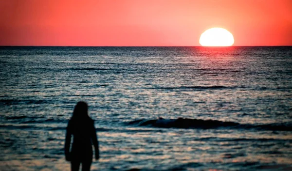 Silhueta Uma Jovem Mulher Praia Olhando Para Belo Pôr Sol — Fotografia de Stock