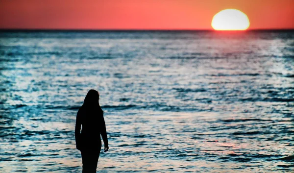 Silhueta Uma Jovem Mulher Praia Olhando Para Belo Pôr Sol — Fotografia de Stock