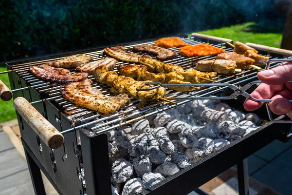 Different Types Meat Fried Home Grill Standing Home Garden Paving — Stock Photo, Image