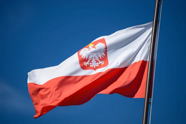 Polonya Cumhuriyeti Amblemi Ile Polonya Devlet Bayrağı Mavi Gökyüzü Bir — Stok fotoğraf
