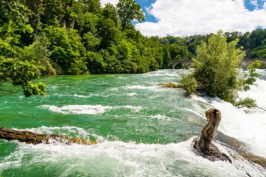 Kuzey İsviçre'de şehir Neuhausen Rheinfall ren nehri üzerinde güzel bir şelale. Ren Şelalesi Avrupa'nın en büyük şelalesidir..