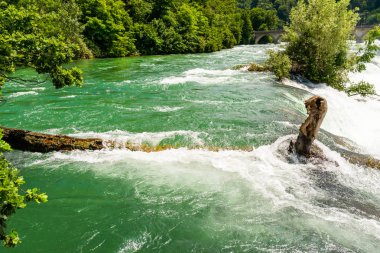 Kuzey İsviçre'de şehir Neuhausen Rheinfall ren nehri üzerinde güzel bir şelale. Ren Şelalesi Avrupa'nın en büyük şelalesidir..