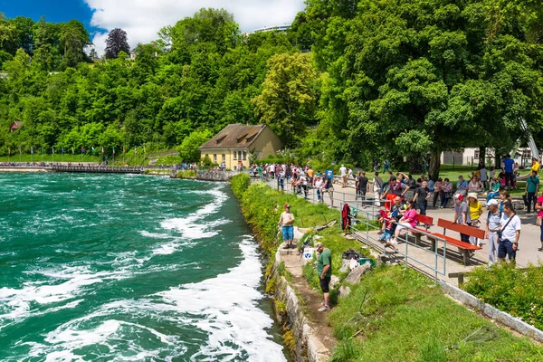 Neuhausen Rheinfall Suiza Julio 2019 Cascada Río Rin Ciudad Neuhausen —  Fotos de Stock