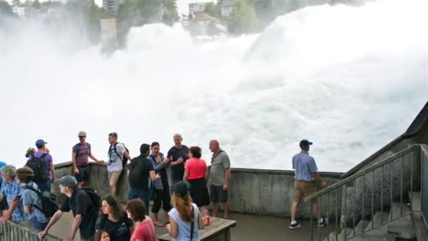 纽豪森酒店 2019年7月23日 瑞士莱茵河畔的瀑布 游客站在一个急流瀑布流的有利位置 — 图库视频影像