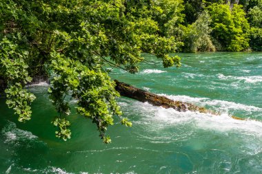 Ren nehri turkuaz güzel görünümü, İsviçre'de kaynağında, Avrupa'nın en büyük şelale hemen arkasında.