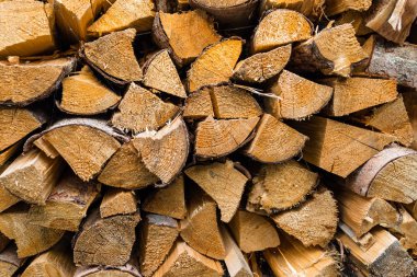 Bir odun yığınına yığılmış, gövdeleri kesilmiş. Yakın çekim, ahşap arka plan.